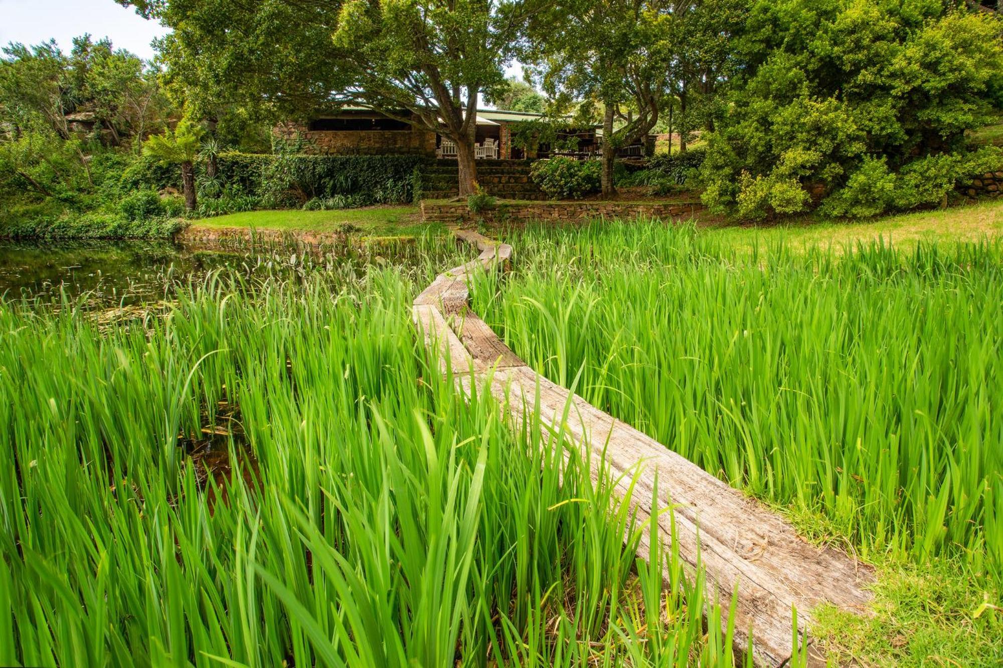 Paardeplaats Nature Retreat Rhenosterhoek Eksteriør billede