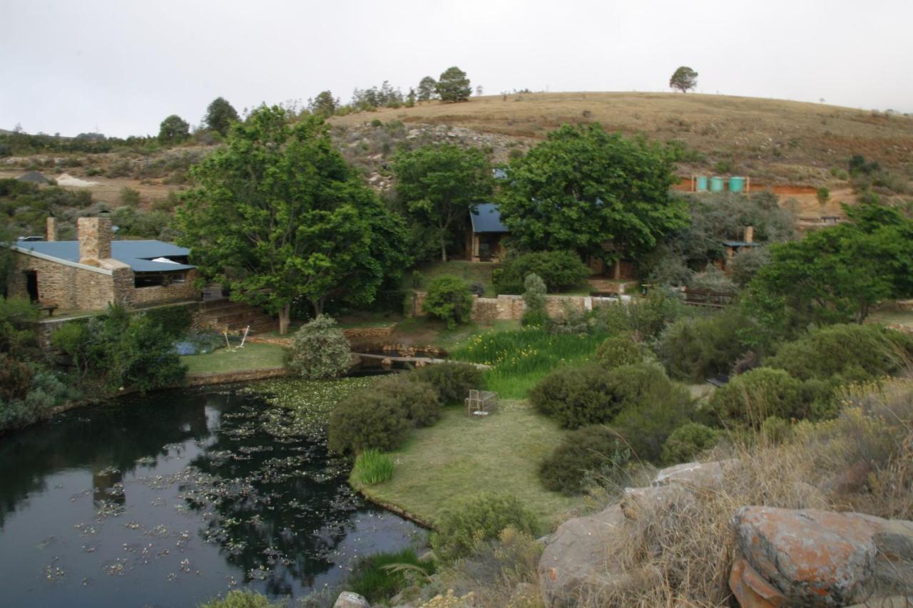 Paardeplaats Nature Retreat Rhenosterhoek Eksteriør billede
